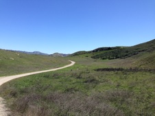 Enlarge photo 45