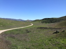 Enlarge photo 46