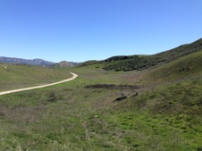 Enlarge photo 47