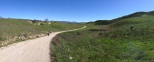 Enlarge photo 48