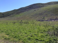 Enlarge photo 54