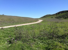 Enlarge photo 56