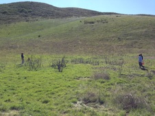 Enlarge photo 57