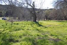 Enlarge photo 39