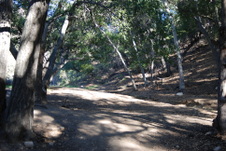 Enlarge photo 19