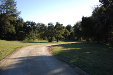 Enlarge photo 42
