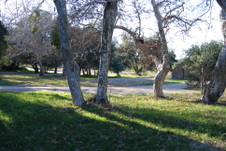 Enlarge photo 6