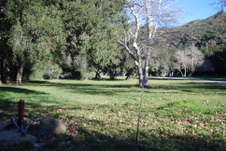 Enlarge photo 5
