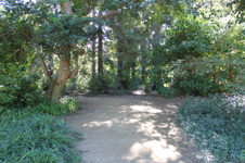 Enlarge photo 25