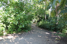 Enlarge photo 26
