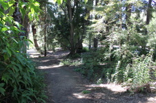 Enlarge photo 27