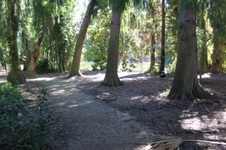 Enlarge photo 28