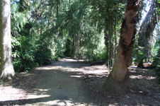 Enlarge photo 29