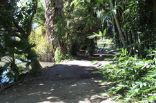 Enlarge photo 30