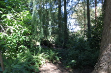 Enlarge photo 31