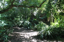 Enlarge photo 32