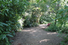 Enlarge photo 33