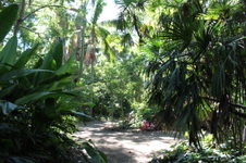 Enlarge photo 34