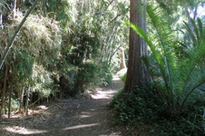 Enlarge photo 36
