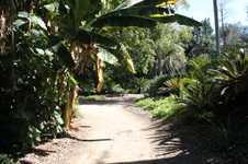 Enlarge photo 37