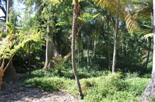 Enlarge photo 38