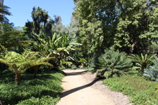 Enlarge photo 39
