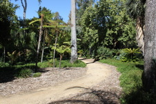 Enlarge photo 41