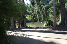 Enlarge photo 40