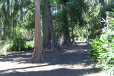 Enlarge photo 42