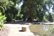 Enlarge photo 44