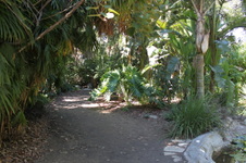Enlarge photo 45