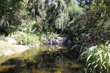 Enlarge photo 46
