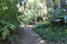 Enlarge photo 47