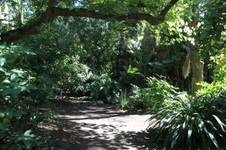 Enlarge photo 48
