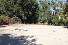 Enlarge photo 15
