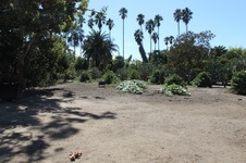 Enlarge photo 18
