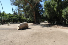 Enlarge photo 19