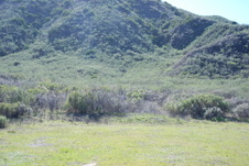 Enlarge photo 36
