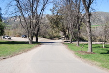 Enlarge photo 5