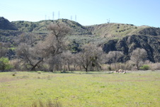 Enlarge photo 23