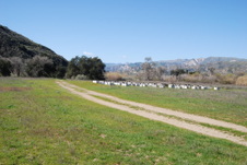 Enlarge photo 25
