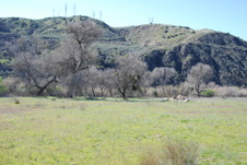 Enlarge photo 26