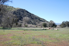 Enlarge photo 28