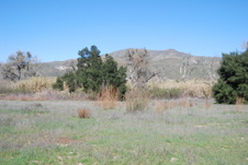 Enlarge photo 30