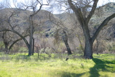 Enlarge photo 31