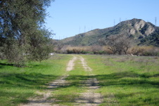 Enlarge photo 32