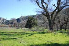 Enlarge photo 33