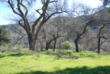 Enlarge photo 34