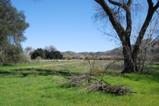 Enlarge photo 35