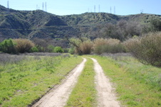 Enlarge photo 36